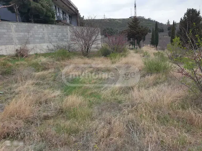For Sale Ara Sasoplo-Sameurneo Land Plot Nadzaladevshi, 4 of 6