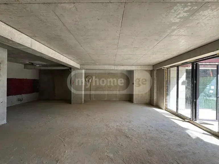 For Rent Savachro Commercial Space Tabakhmelashi view 4