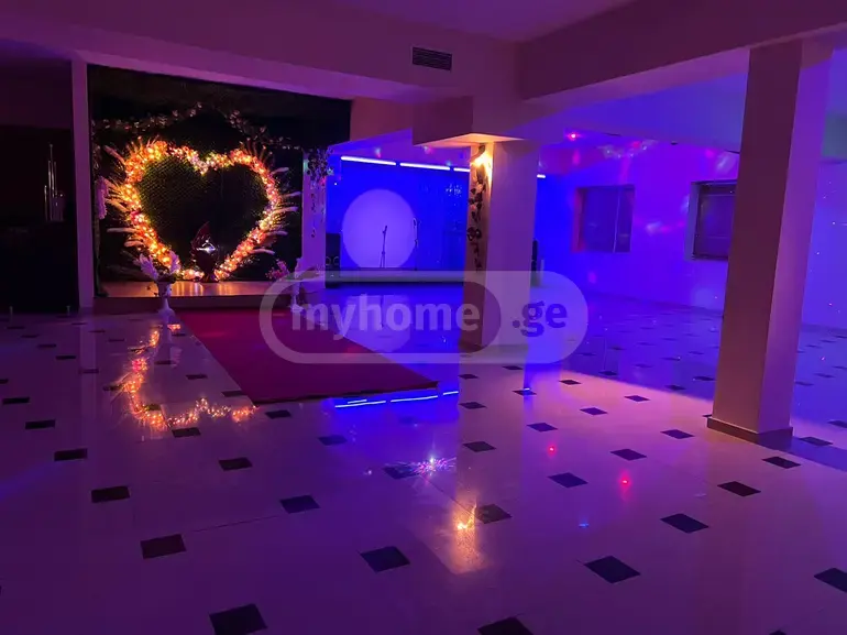 Daily Rent 1 Room Private House Didubeshi view 14