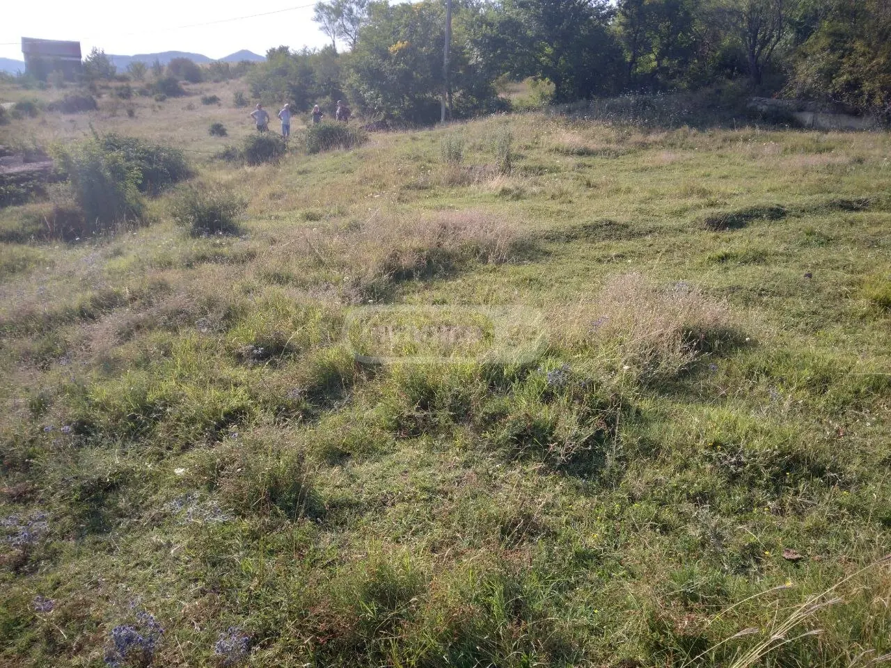 For Sale Sasoplo-Sameurneo Land Plot Gardabnis Munitsipalitetshi view 2
