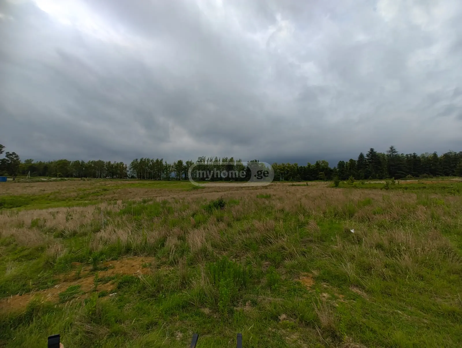 For Sale Sasoplo-Sameurneo Land Plot Tsqaltuboshi view 5