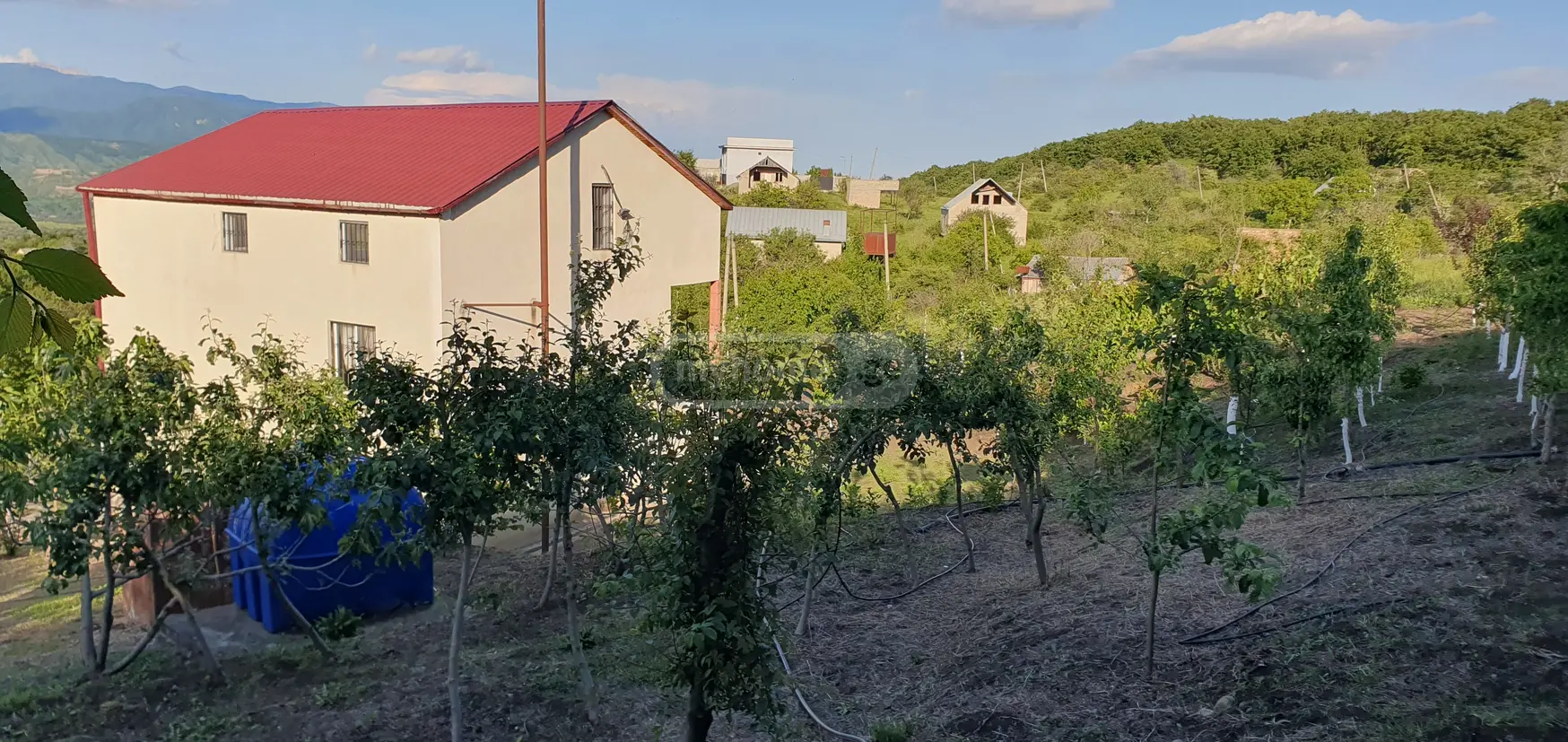 Продажа 7-комната Загородный дом в Sagarejos Munitsipalitetshi view 2