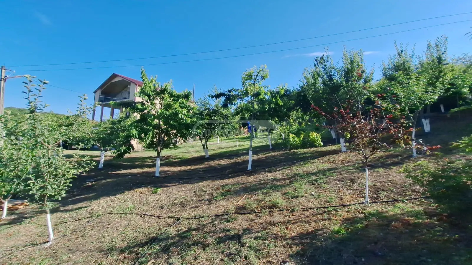Продажа 7-комната Загородный дом в Sagarejos Munitsipalitetshi view 3