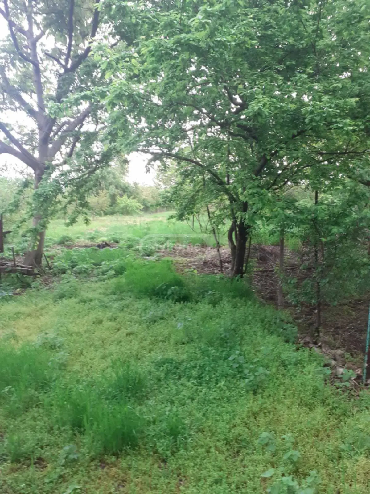 For Sale 8 Room Private House Gurjaanshi view 6