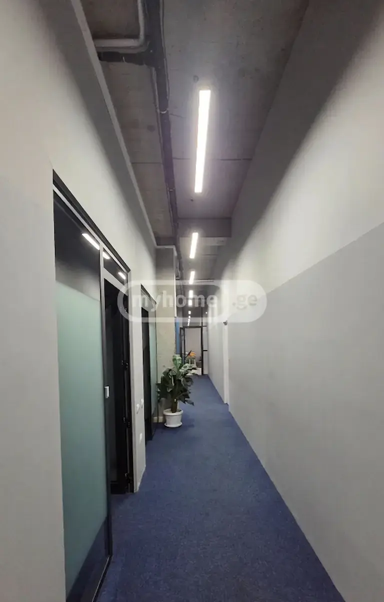 For Rent Saopise Commercial Space Dighmis Masivshi view 13