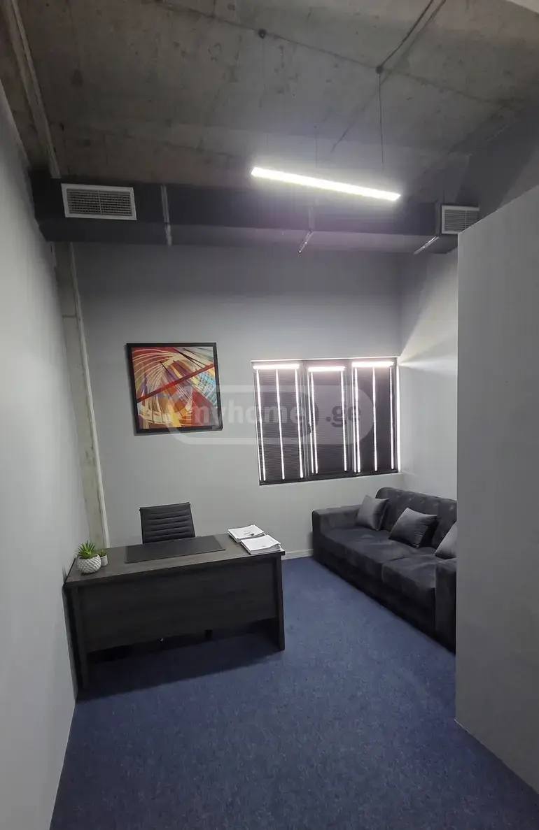 For Rent Universaluri Commercial Space Dighmis Masivshi view 7