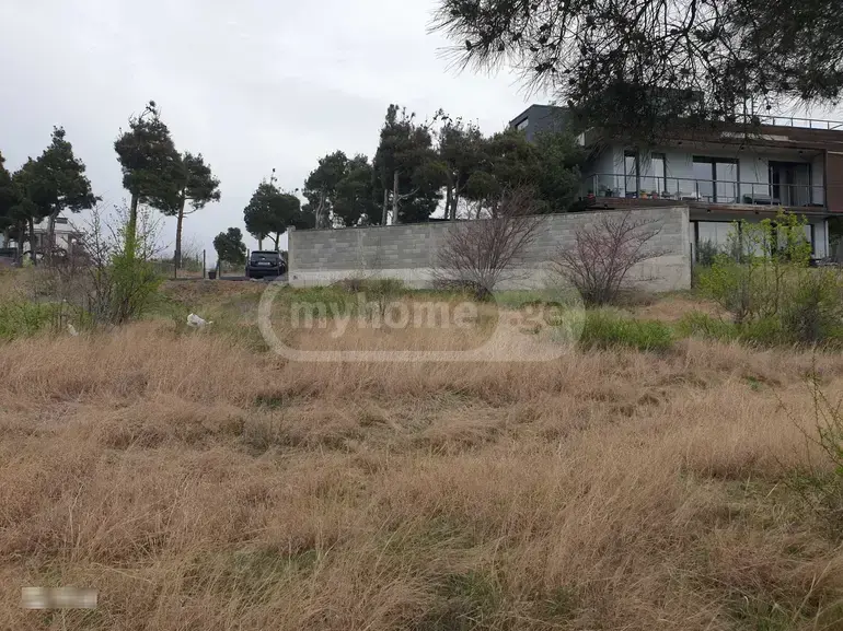 For Sale Ara Sasoplo-Sameurneo Land Plot Nadzaladevshi, 3 of 6