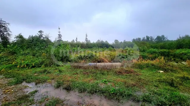 For Sale Sasoplo-Sameurneo Land Plot Ozurgetis Munitsipalitetshi view 4