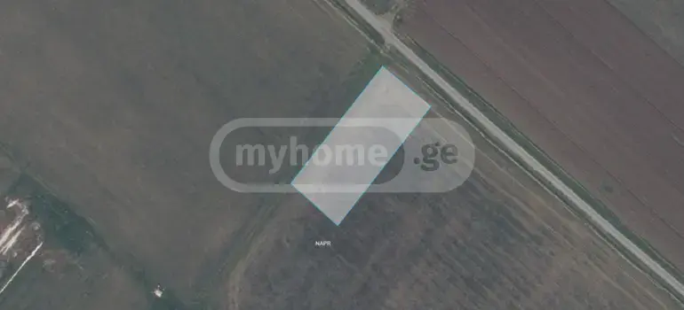 For Sale Sasoplo-Sameurneo Land Plot Gardabnis Munitsipalitetshi view 1
