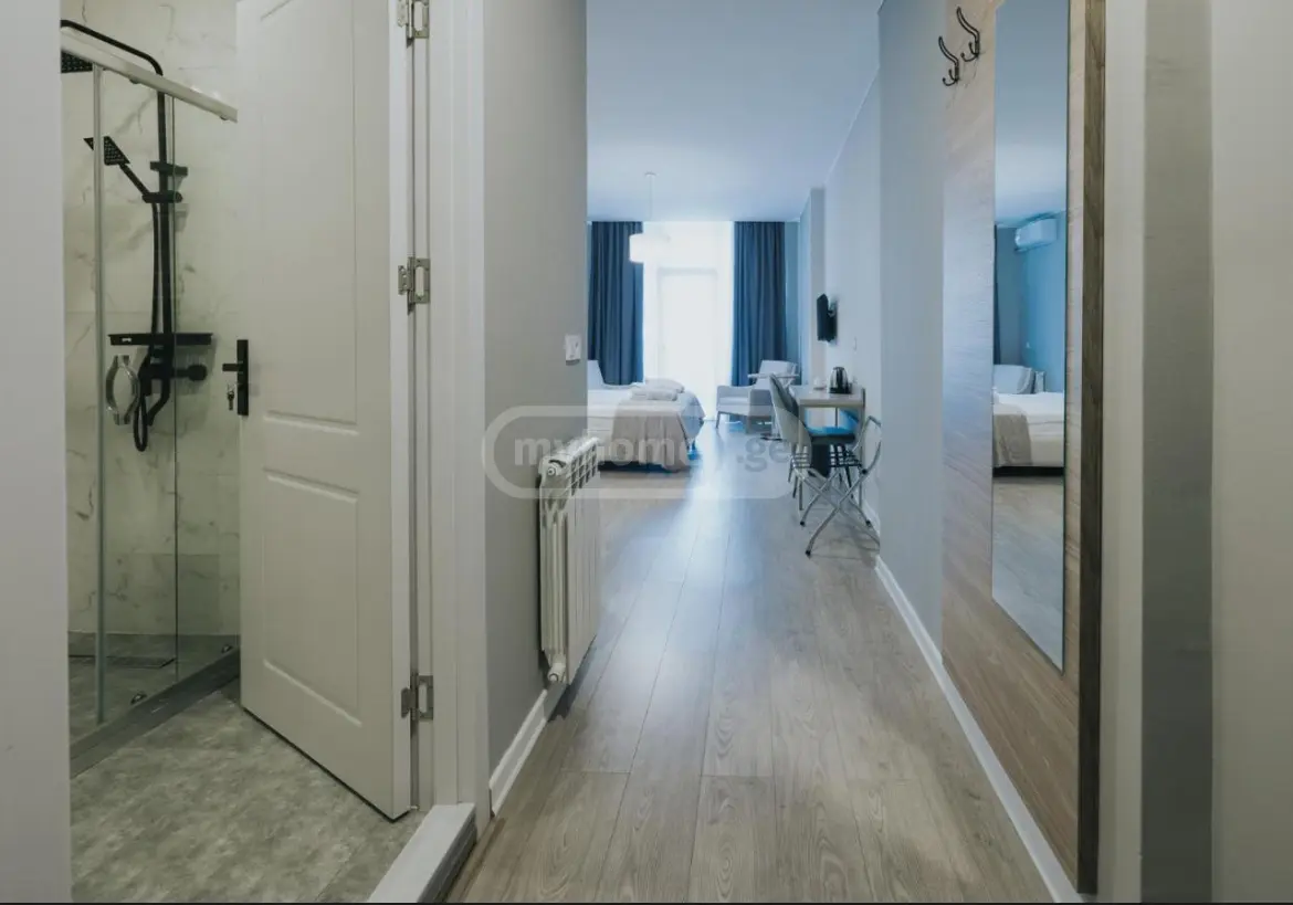 Daily Rent 1 Room Sastumro view 8
