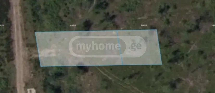 For Sale Sasoplo-Sameurneo Land Plot Ozurgetis Munitsipalitetshi view 5