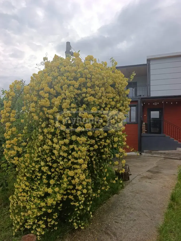 For Sale 4 Room Private House Mtskhetis Munitsipalitetshi view 9