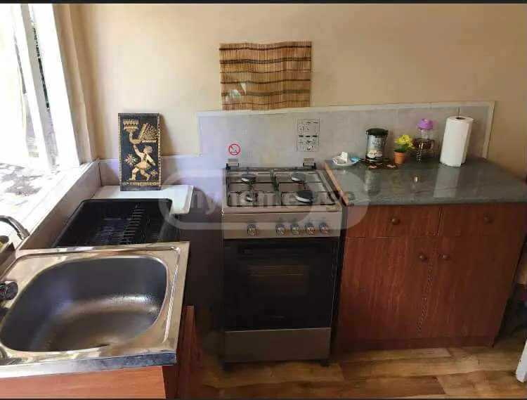 Daily Rent 2 Room Country House Borjomshi view 3