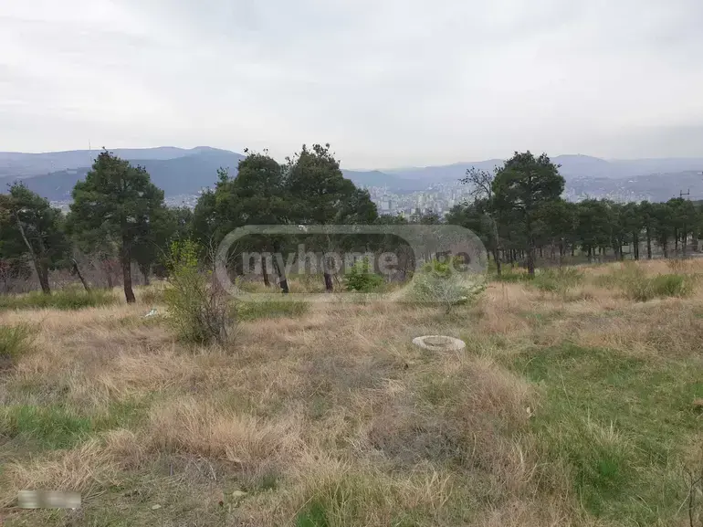 For Sale Ara Sasoplo-Sameurneo Land Plot Nadzaladevshi, 2 of 6