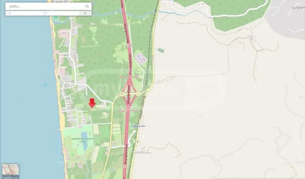 For Sale Sasoplo-Sameurneo Land Plot Ozurgetis Munitsipalitetshi view 6