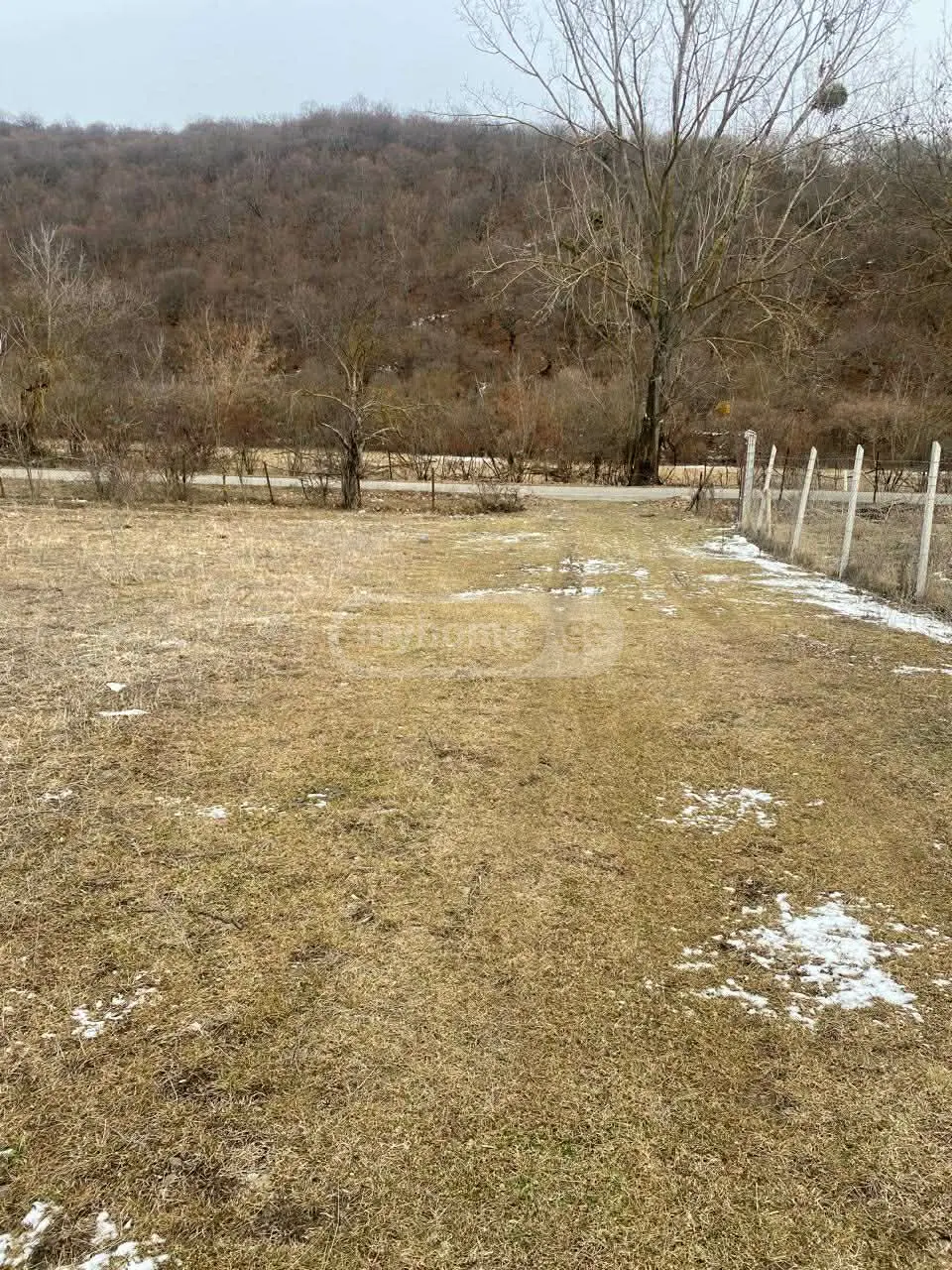 Продажа Земля / участок в Tianetis Munitsipalitetshi view 4