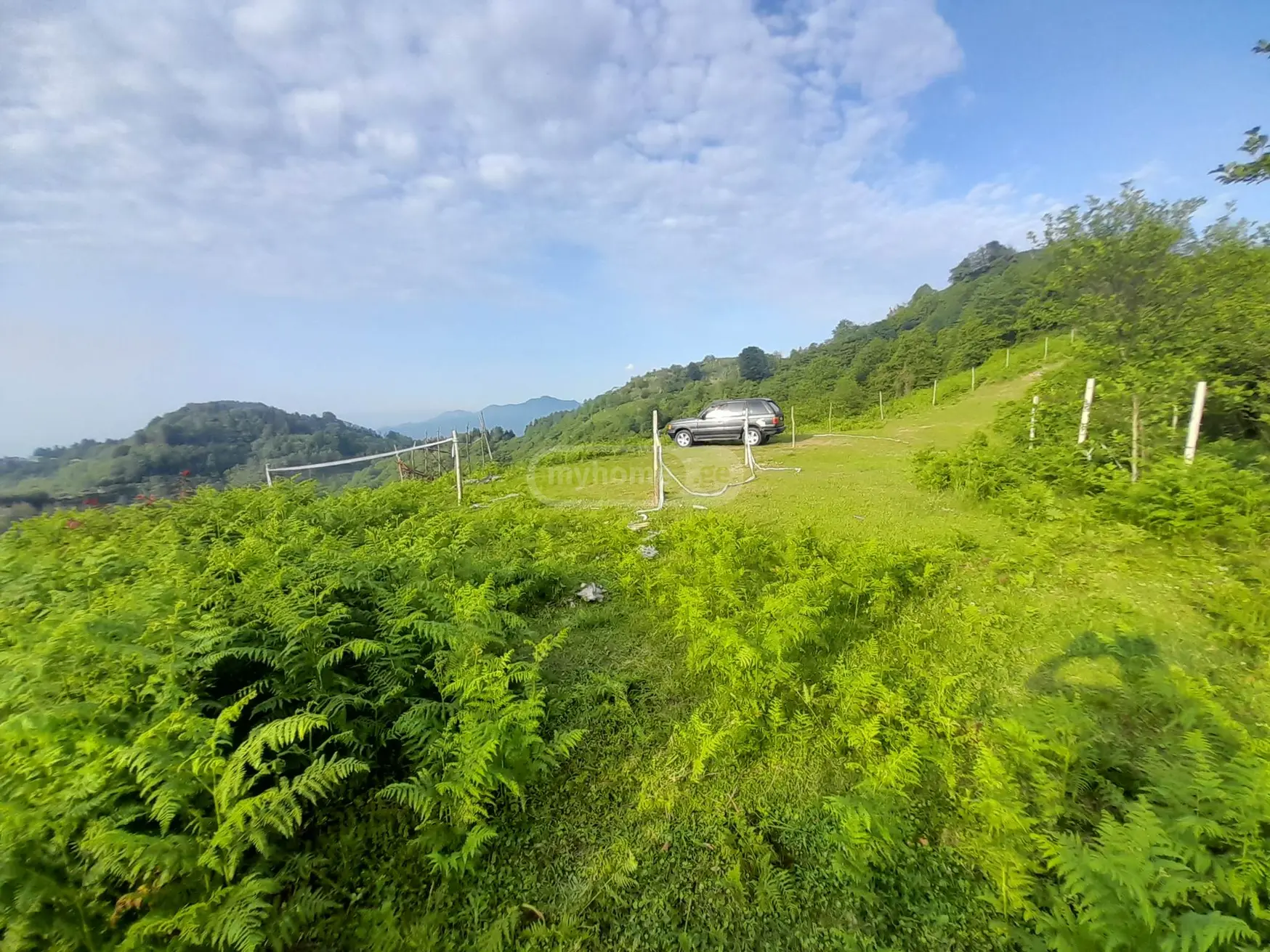 For Sale Sasoplo-Sameurneo Land Plot In Batumi, 10 of 12