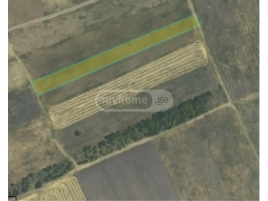 For Sale Sasoplo-Sameurneo Land Plot Gurjaanis Munitsipalitetshi view 1