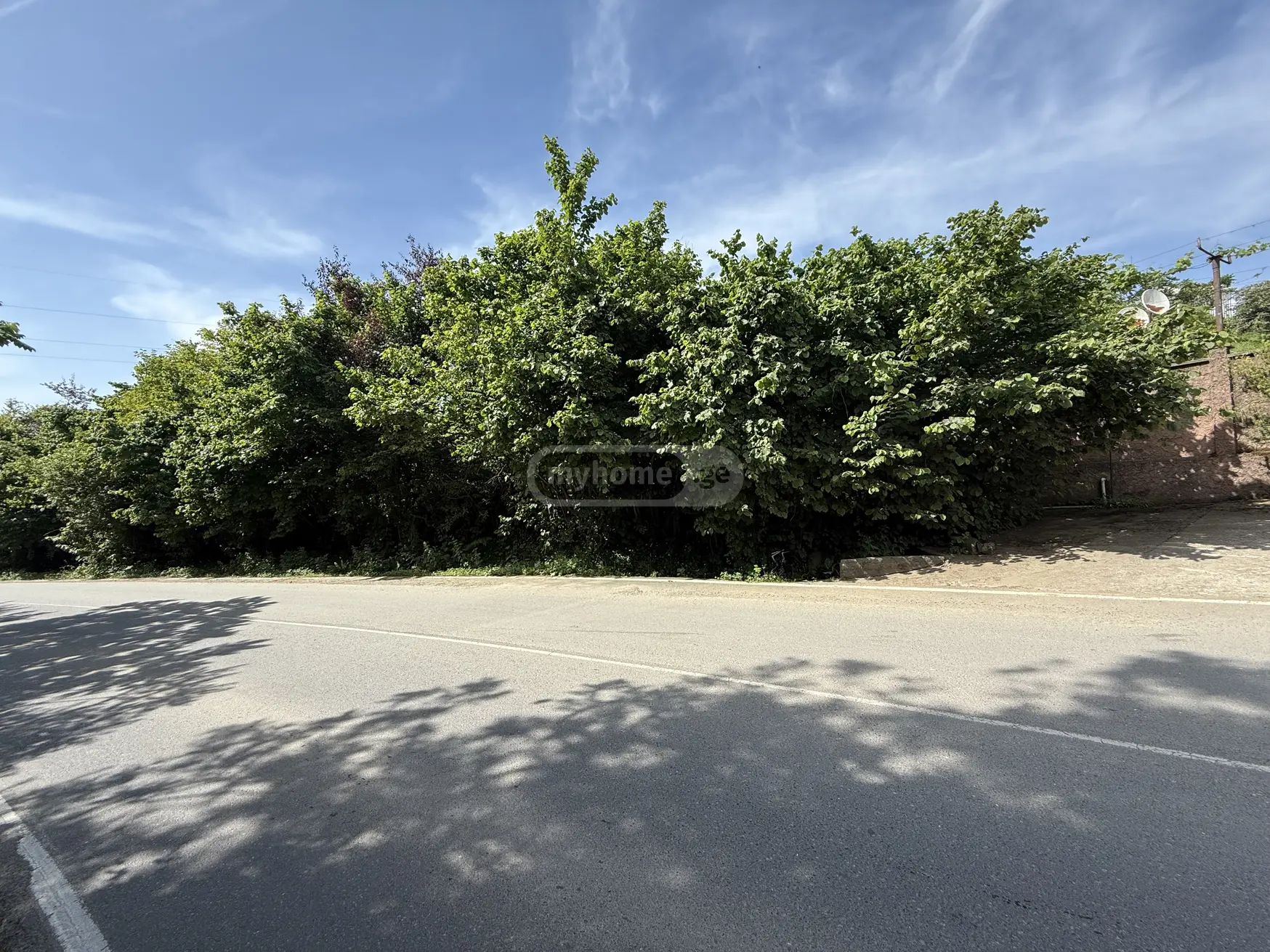 For Sale Sasoplo-Sameurneo Land Plot Khelvachauris Munitsipalitetshi view 5