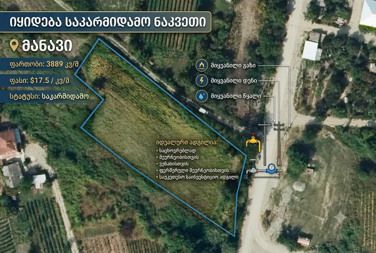 statment-img-0.7110962384449879