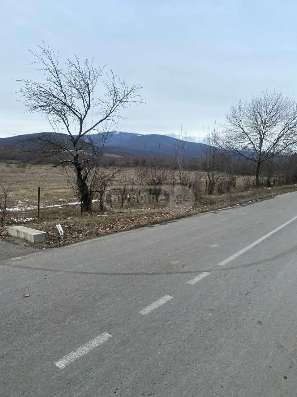 Продажа Земля / участок в Tianetis Munitsipalitetshi view 3