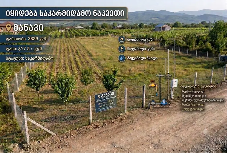 statment-img-0.3048729043712106