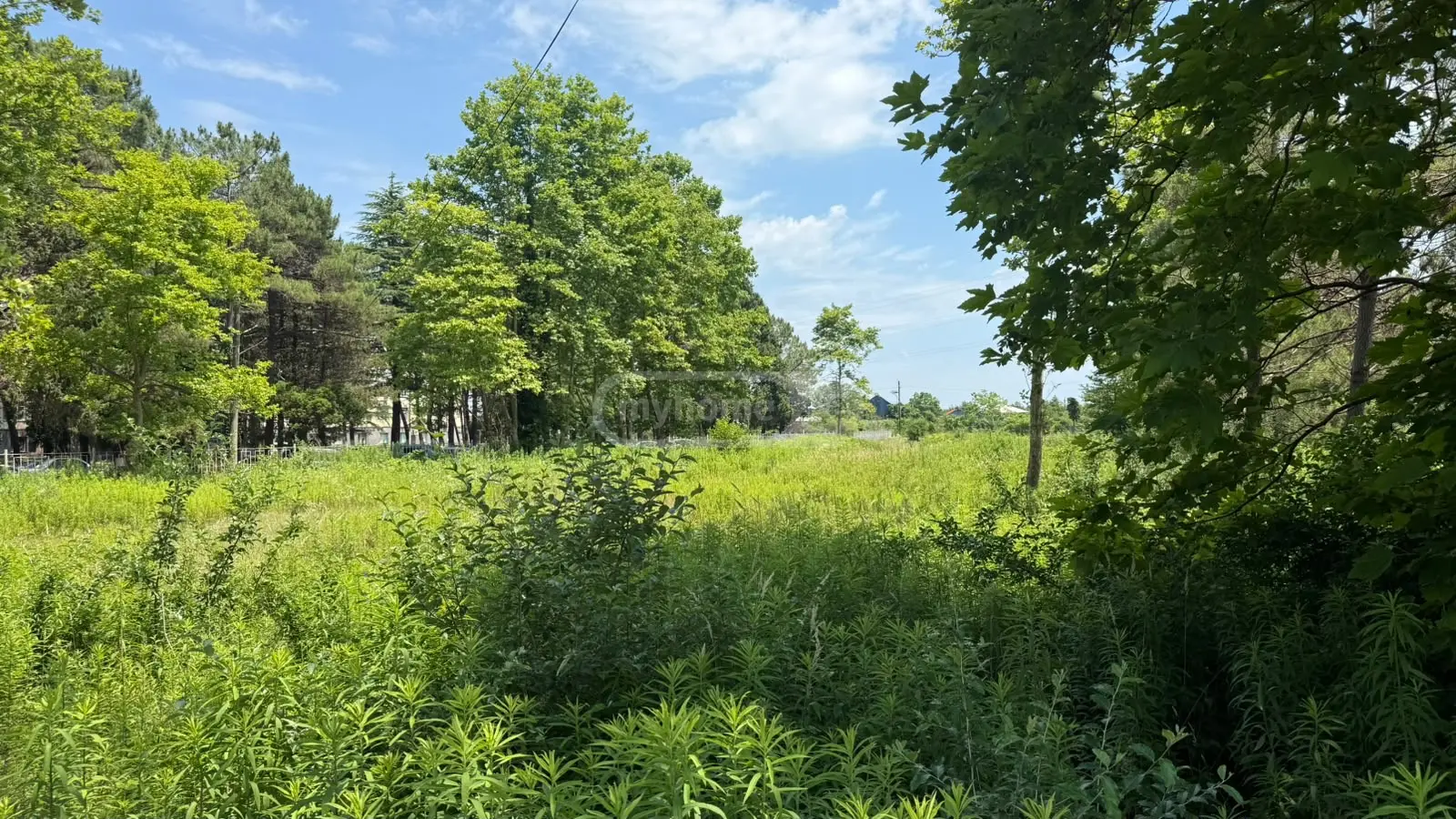 For Sale Ara Sasoplo-Sameurneo Land Plot Potshi view 2