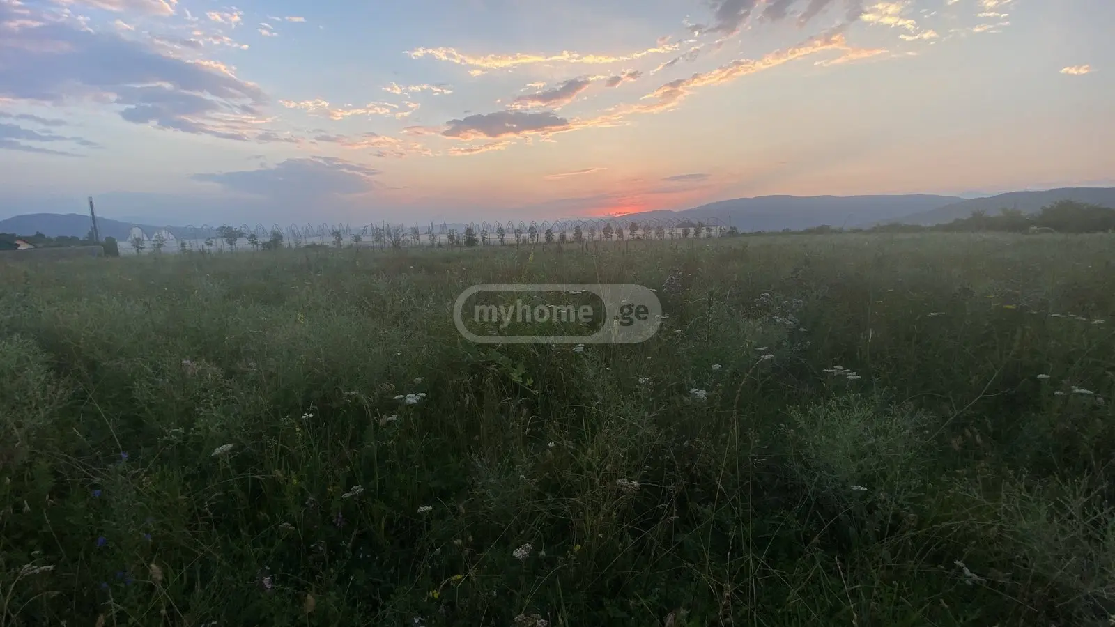 For Sale Sasoplo-Sameurneo Land Plot Mtskhetis Munitsipalitetshi view 8