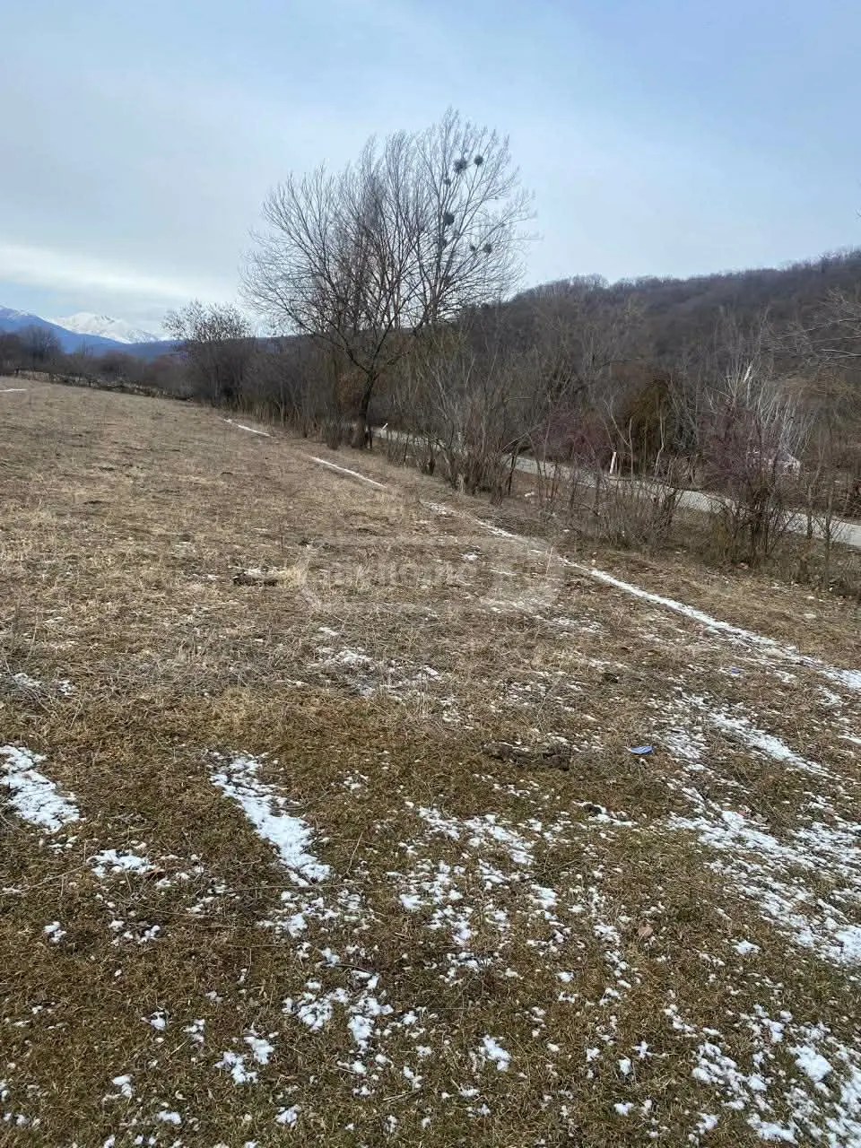 Продажа Земля / участок в Tianetis Munitsipalitetshi view 5