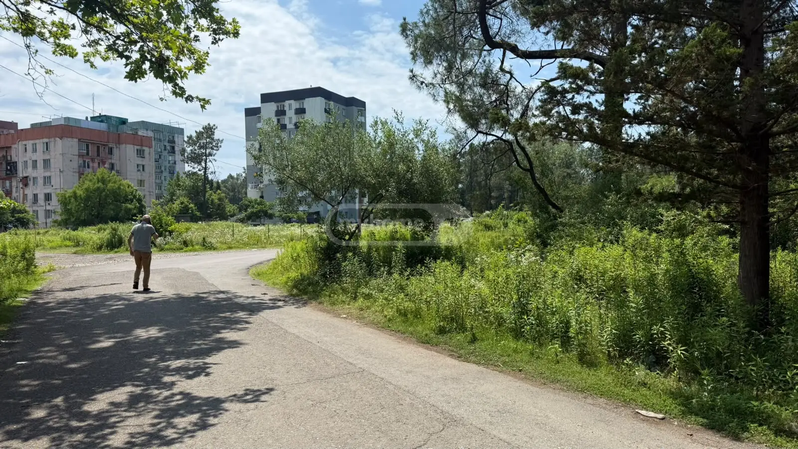 For Sale Ara Sasoplo-Sameurneo Land Plot Potshi view 5