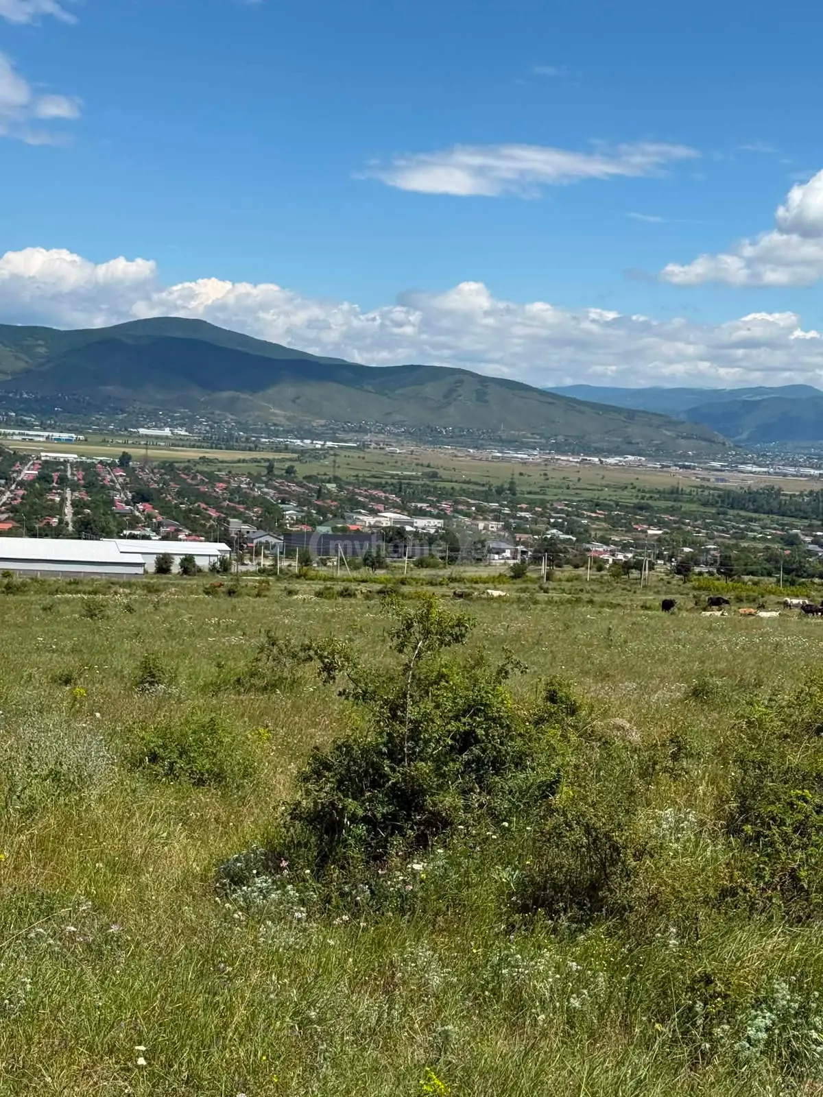For Sale Sasoplo-Sameurneo Land Plot Mtskhetis Munitsipalitetshi view 2