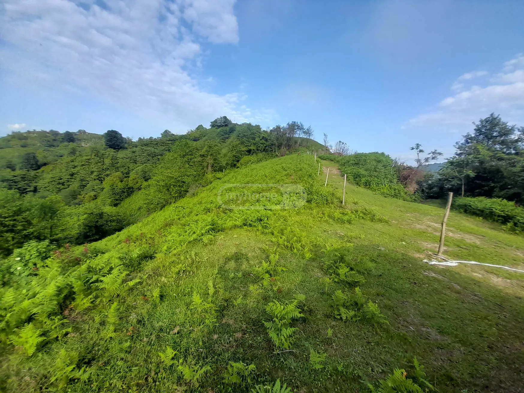 For Sale Sasoplo-Sameurneo Land Plot In Batumi, 12 of 12