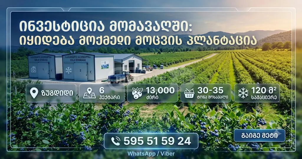 Продажа Земля / участок в Zugdidshi view 1