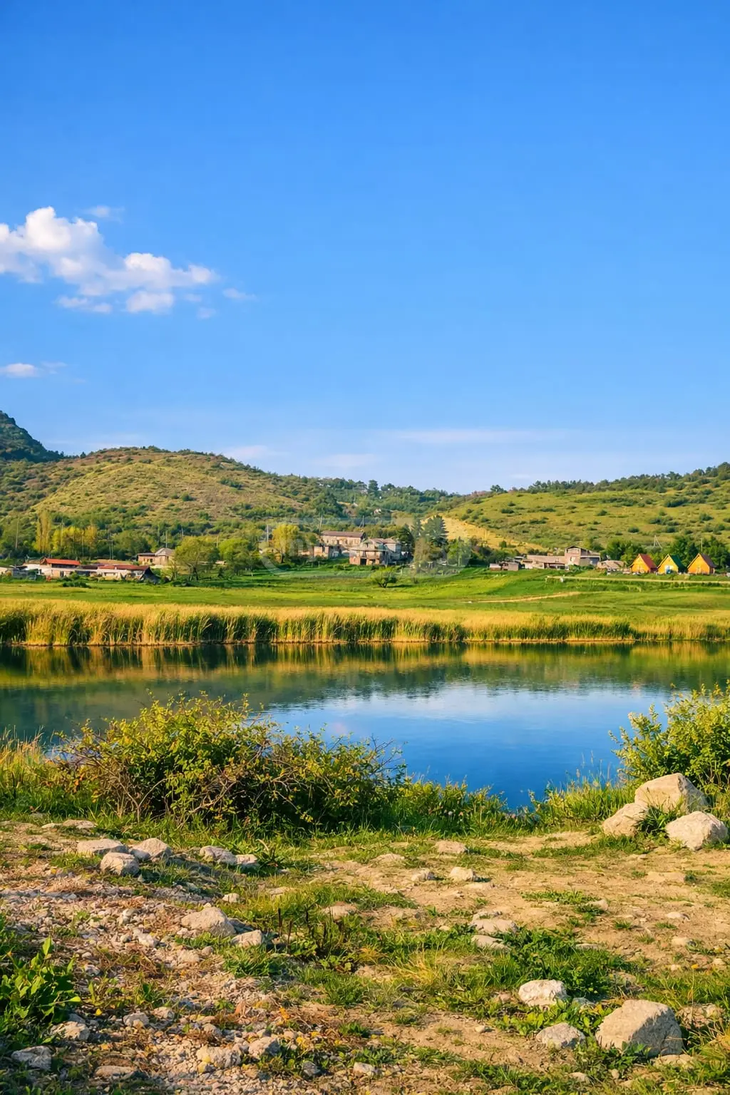 For Sale Sasoplo-Sameurneo Land Plot Sagarejos Munitsipalitetshi view 1