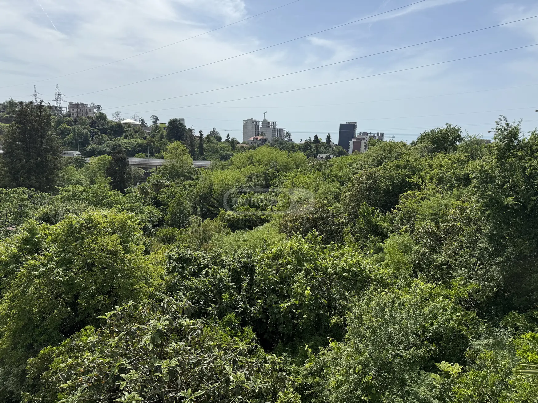 For Sale Sasoplo-Sameurneo Land Plot Khelvachauris Munitsipalitetshi view 8