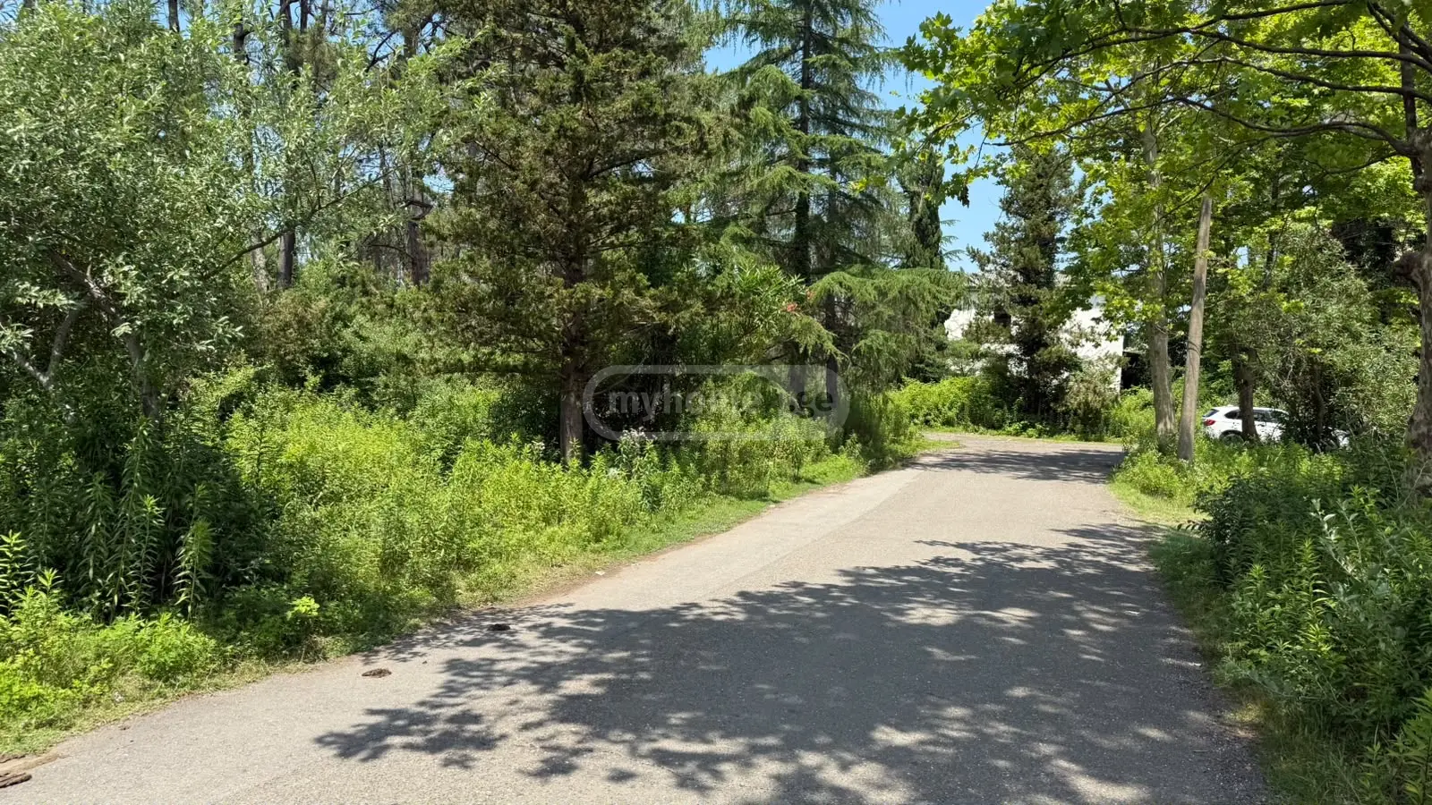 For Sale Ara Sasoplo-Sameurneo Land Plot Potshi view 1