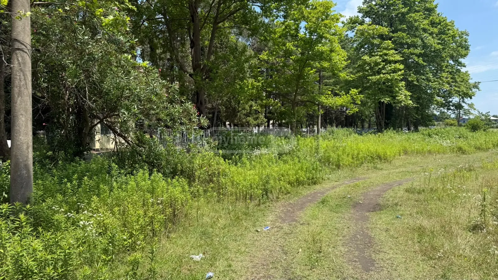 For Sale Ara Sasoplo-Sameurneo Land Plot Potshi view 4