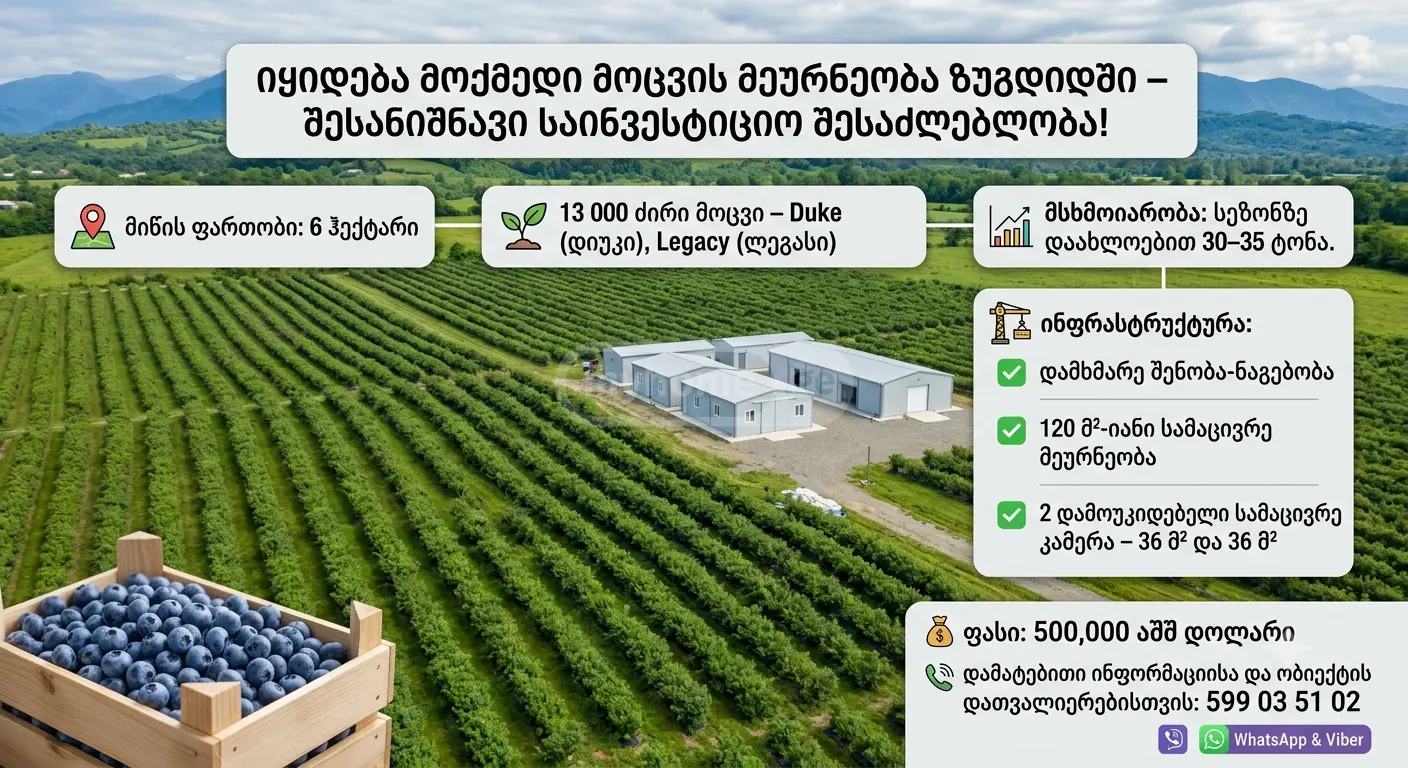For Sale Komertsiuli Land Plot Zugdidis Munitsipalitetshi view 1