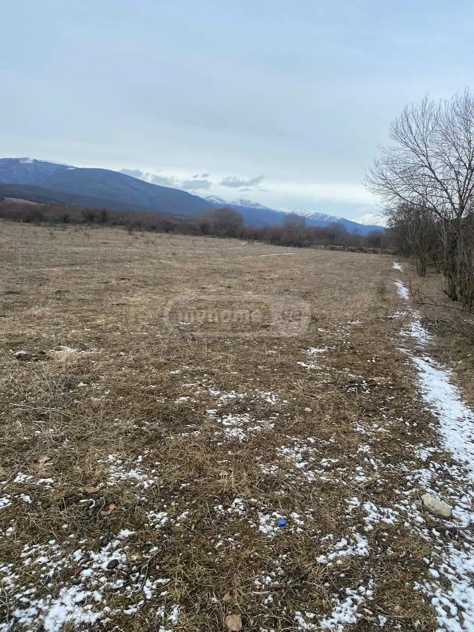Продажа Земля / участок в Tianetis Munitsipalitetshi view 6