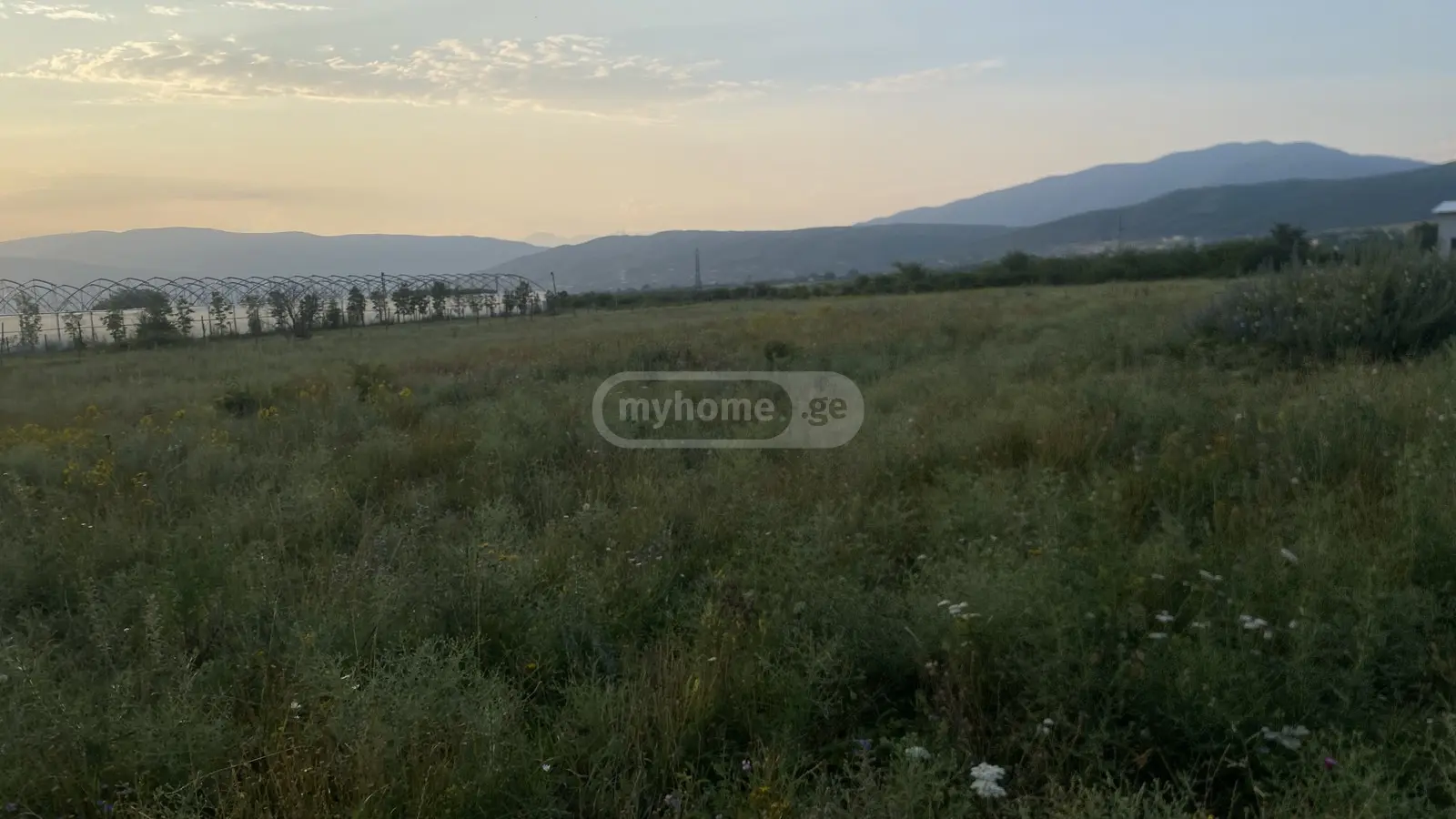 For Sale Sasoplo-Sameurneo Land Plot Mtskhetis Munitsipalitetshi view 4