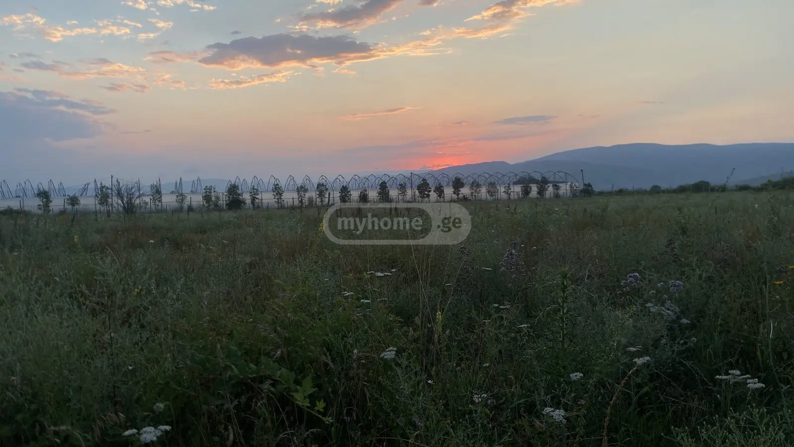 For Sale Sasoplo-Sameurneo Land Plot Mtskhetis Munitsipalitetshi view 6