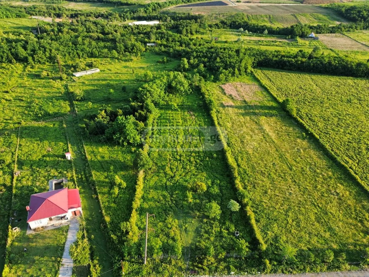 For Sale Sasoplo-Sameurneo Land Plot Tsqaltuboshi view 2