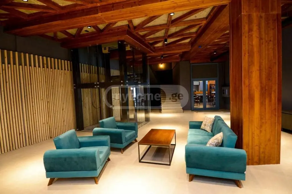 Daily Rent 1 Room Sastumro Bakurianshi, 12 of 12