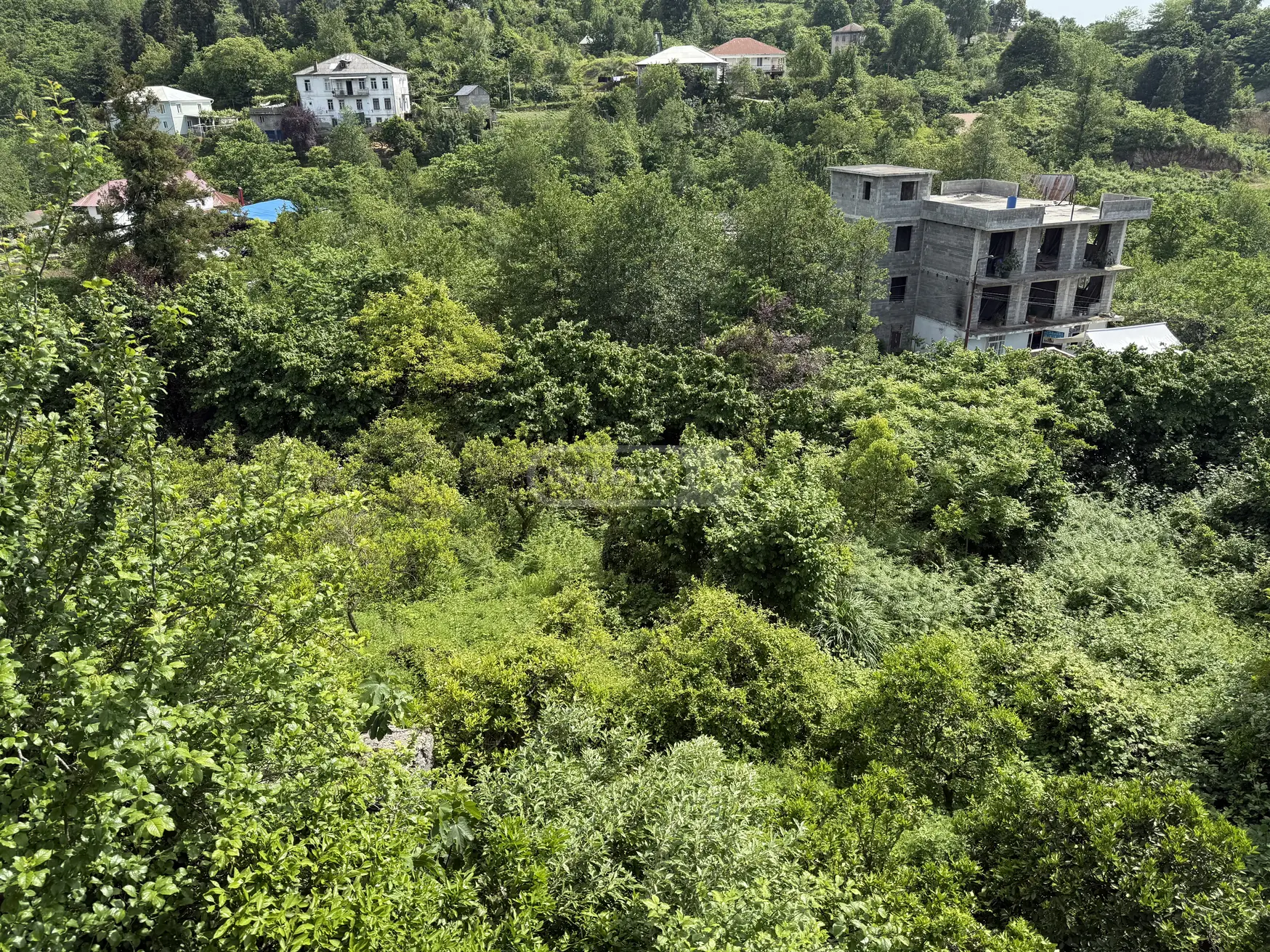 For Sale Sasoplo-Sameurneo Land Plot Khelvachauris Munitsipalitetshi view 4