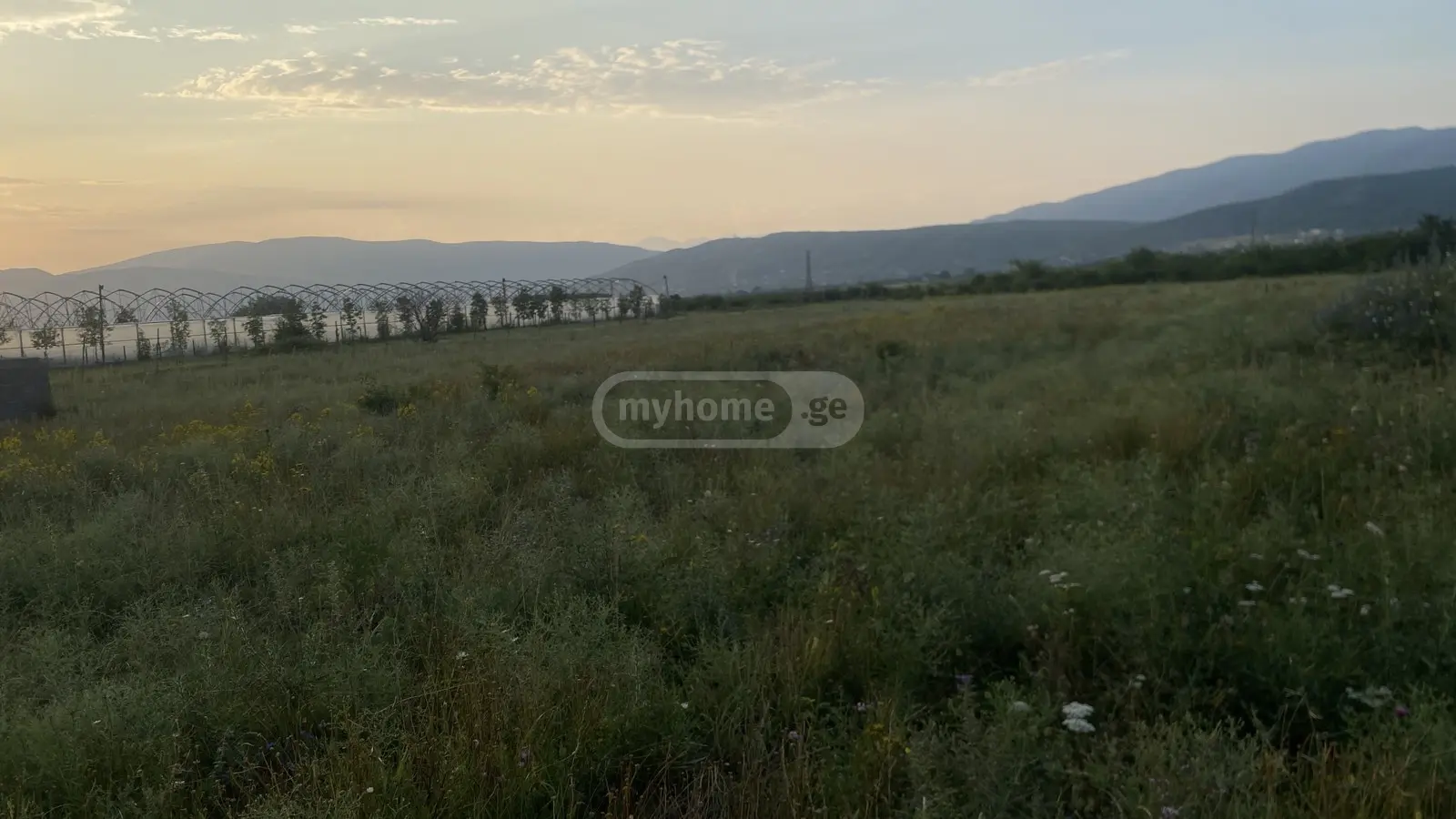 For Sale Sasoplo-Sameurneo Land Plot Mtskhetis Munitsipalitetshi view 5
