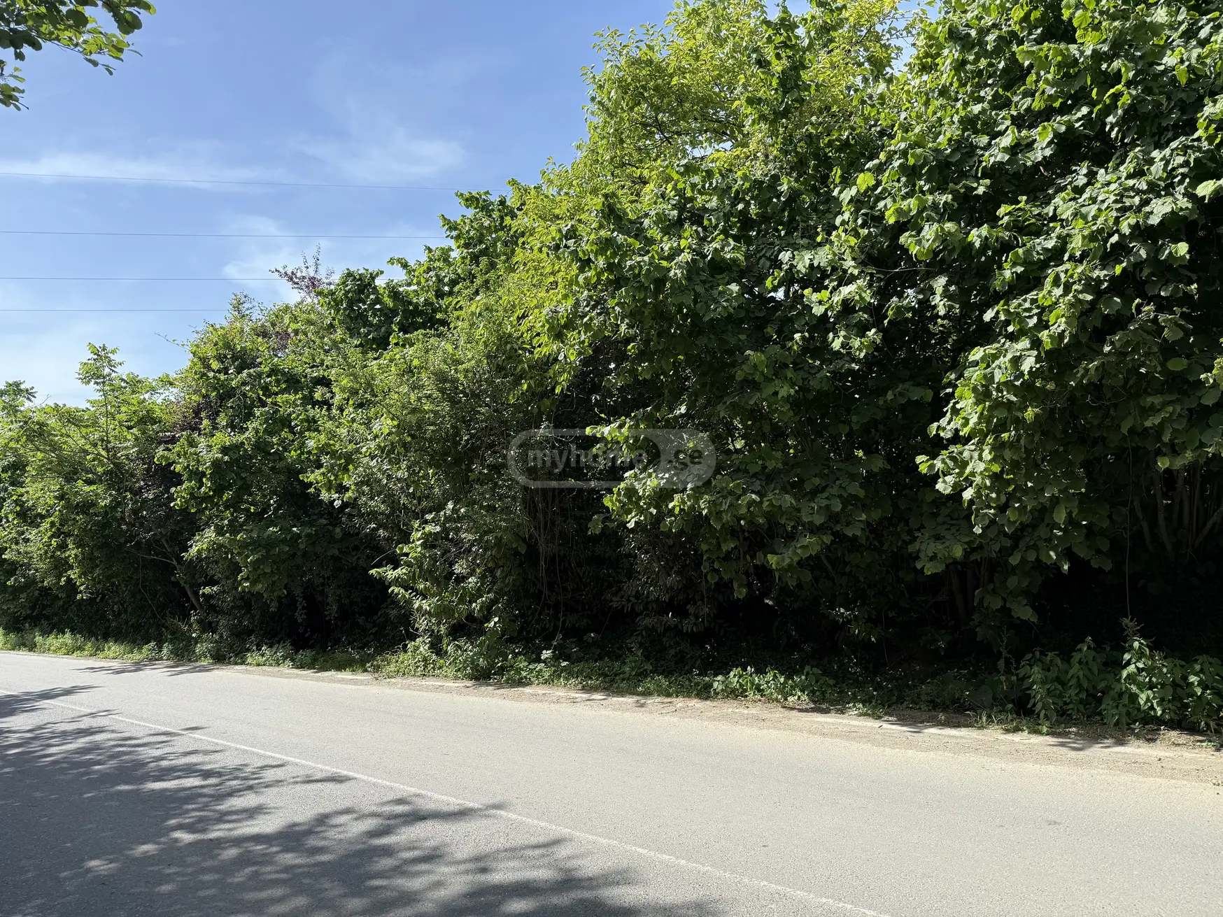 For Sale Sasoplo-Sameurneo Land Plot Khelvachauris Munitsipalitetshi view 6