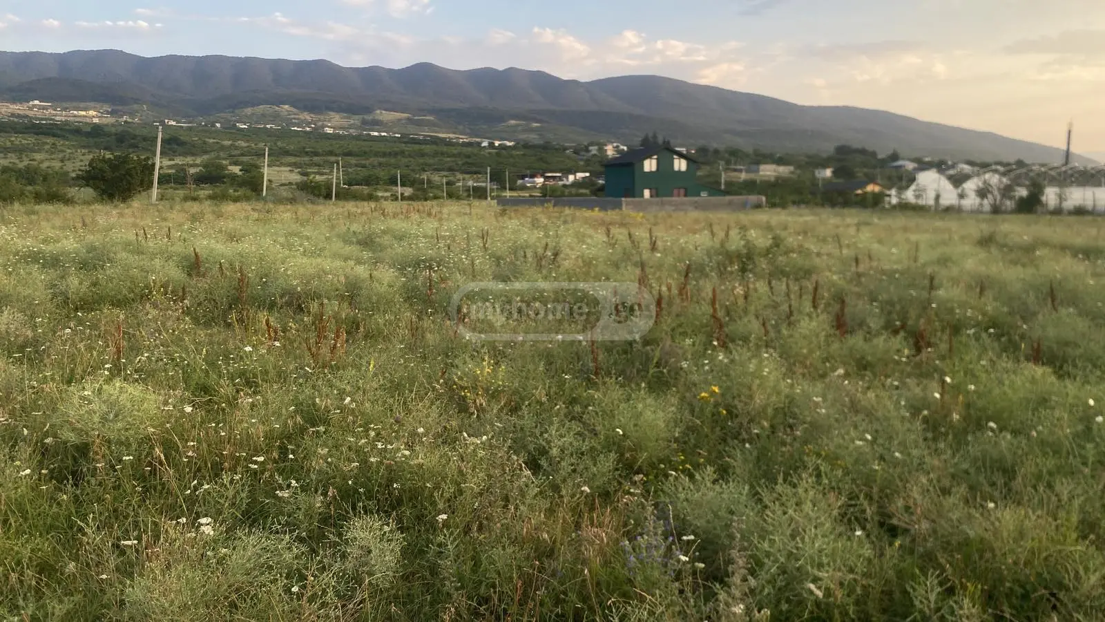 For Sale Sasoplo-Sameurneo Land Plot Mtskhetis Munitsipalitetshi view 7