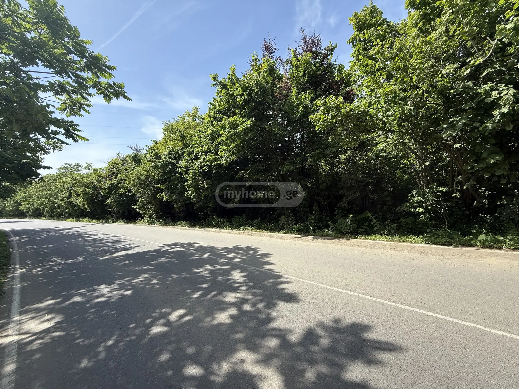 For Sale Sasoplo-Sameurneo Land Plot Khelvachauris Munitsipalitetshi view 2