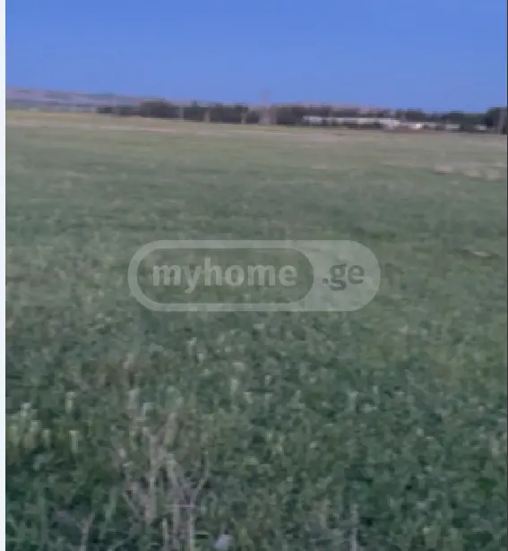 For Sale Sasoplo-Sameurneo Land Plot Gardabnis Munitsipalitetshi view 4