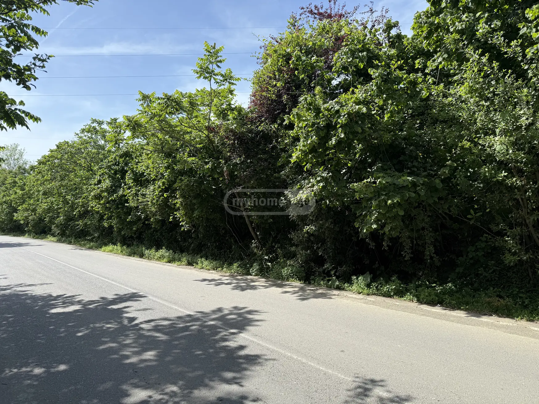 For Sale Sasoplo-Sameurneo Land Plot Khelvachauris Munitsipalitetshi view 1